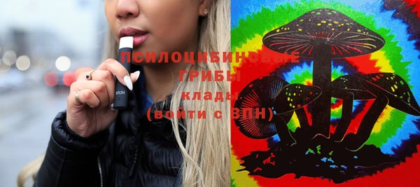 соль курить ск Няндома