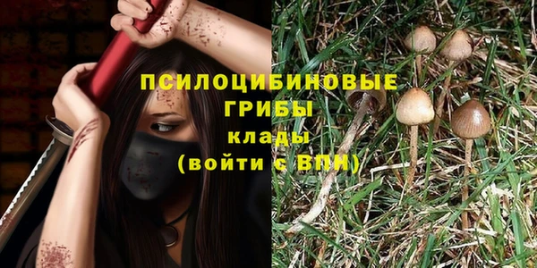 ешки Нягань